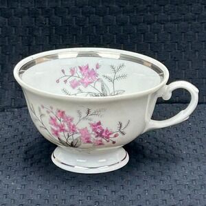 Karolina Poland China Teacup Pink Floral Silver Trim Vintage Porcelain 3879‎ 11